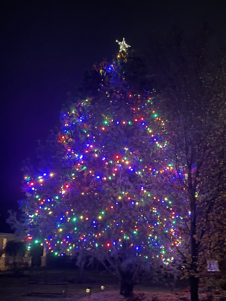 The Rockefeller Tree – Milford Holiday Lights